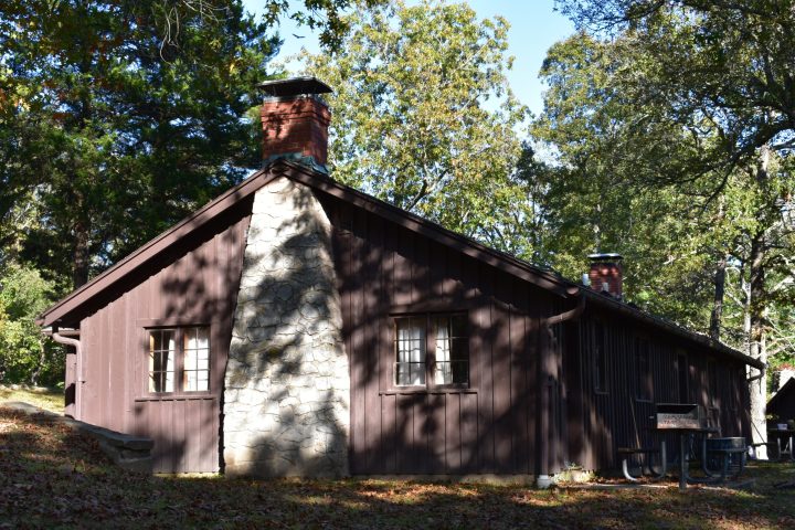 a tree in front of a brick building