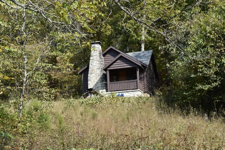 cabin surrounded by trees