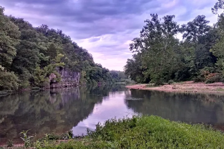 a body of water surrounded by trees